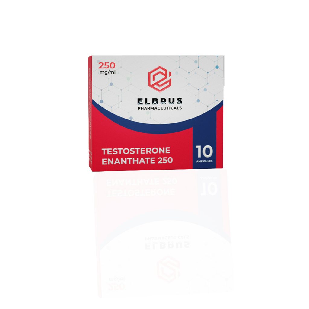 Testosterone-Enanthate-250-mg-Elbrus-Pharmaceuticals.jpg